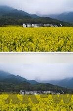 芝加哥足球比分-芝加哥足球风云,比分背后的激情与梦想